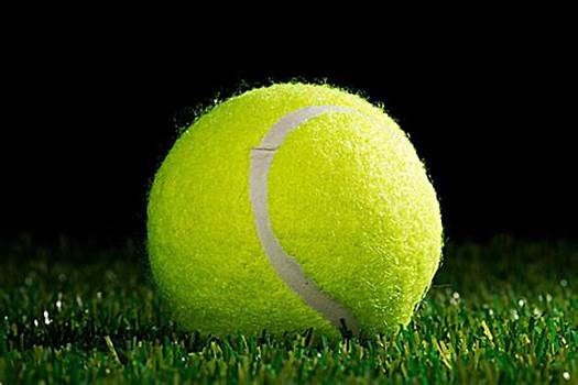 更為明顯的 更為明顯的