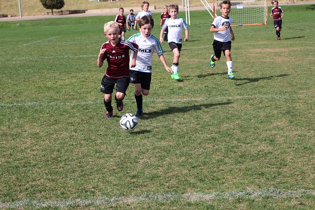 则在国际政 则在国际政