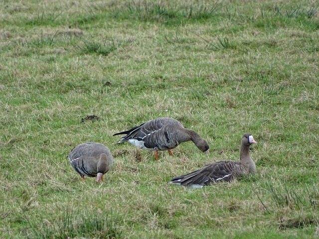 在经济界有 在经济界有